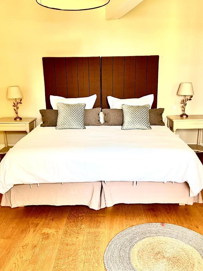 Bed and Breakfast La Girarde Saint-Quentin-de-Caplong Esterno foto